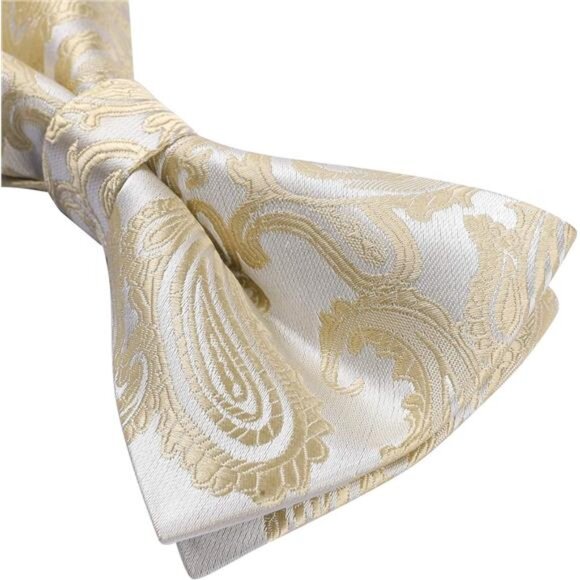Bow Ties for Men Pretied Bow Tie Set Paisley Classic Bowties and Pocket Square - Picture 4 of 7